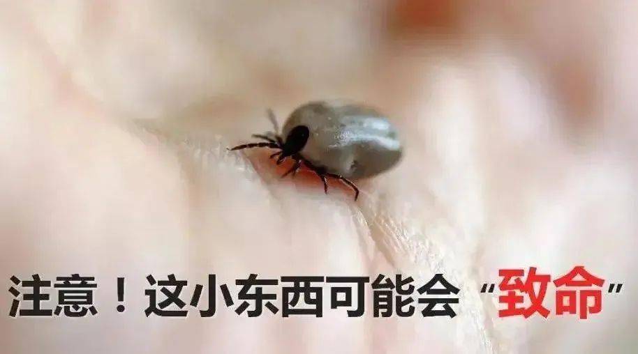 电子体温计 电子体温计