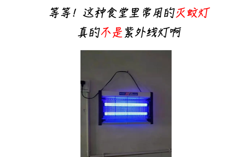 电子体温计 电子体温计