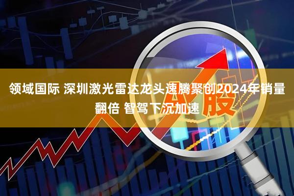 领域国际 深圳激光雷达龙头速腾聚创2024年销量翻倍 智驾下沉加速