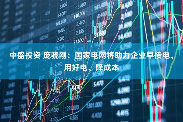 中盛投资 庞骁刚：国家电网将助力企业早接电、用好电、降成本