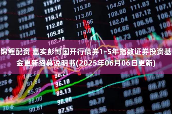 锦鲤配资 嘉实彭博国开行债券1-5年指数证券投资基金更新招募说明书(2025年06月06日更新)