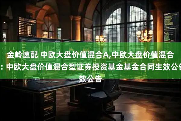 金岭速配 中欧大盘价值混合A,中欧大盘价值混合C: 中欧大盘价值混合型证券投资基金基金合同生效公告
