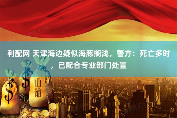 利配网 天津海边疑似海豚搁浅，警方：死亡多时，已配合专业部门处置