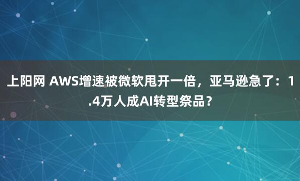 上阳网 AWS增速被微软甩开一倍,亚马逊急了:1.4万人成AI转型祭品?