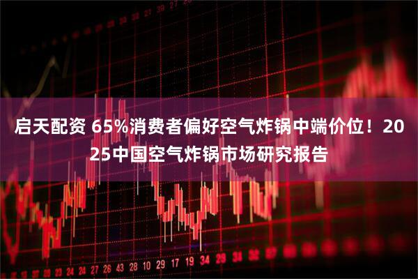 启天配资 65%消费者偏好空气炸锅中端价位！2025中国空气炸锅市场研究报告