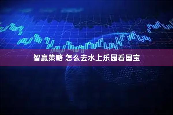 智赢策略 怎么去水上乐园看国宝